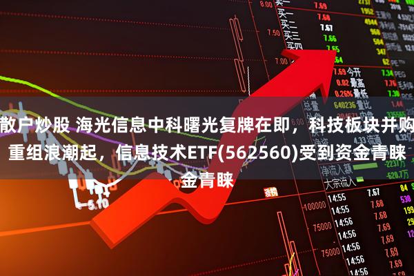 散户炒股 海光信息中科曙光复牌在即,科技板块并购重组浪潮起,信息技术ETF(562560)受到资金青睐
