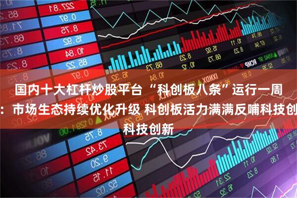 国内十大杠杆炒股平台 “科创板八条”运行一周年:市场生态持续优化升级 科创板活力满满反哺科技创新
